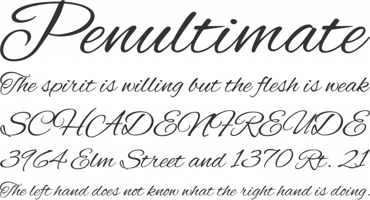 Alex Brush Font Phrases