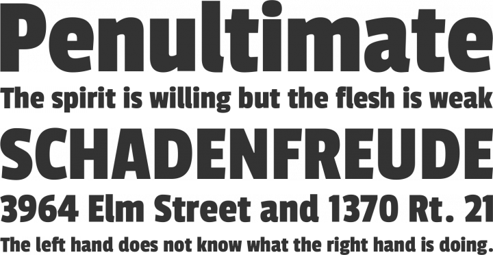 Passion One Font Phrases