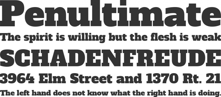 Alfa Slab Font Phrases