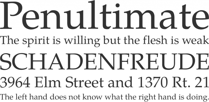 TeX Gyre Pagella Font Phrases