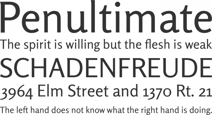 Rosario Font Phrases