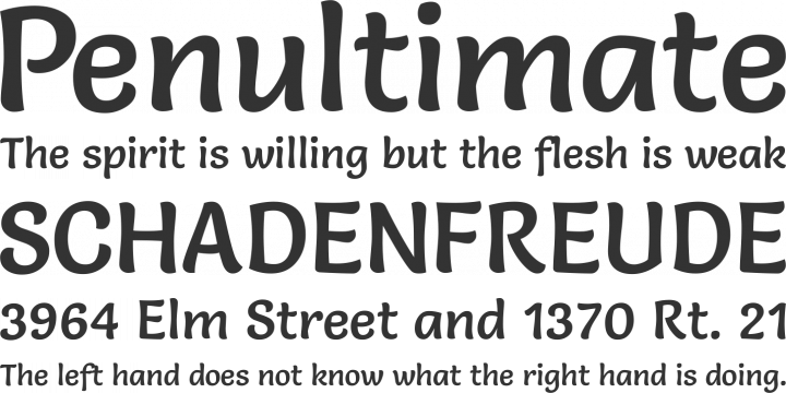 Salsa Font Phrases