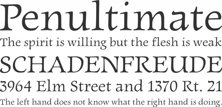 Newt Serif Font Phrases
