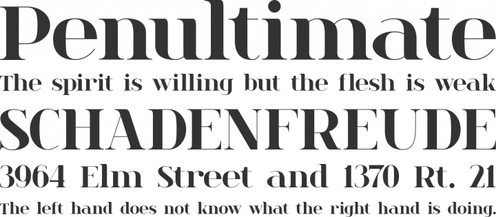 spinwerad Font Phrases