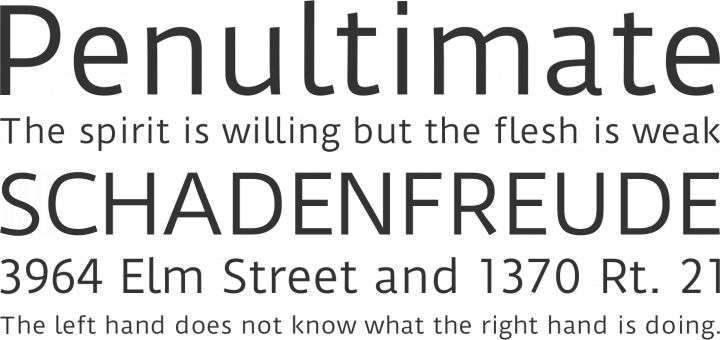 Duru Sans Font Phrases
