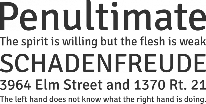 Signika Font Phrases