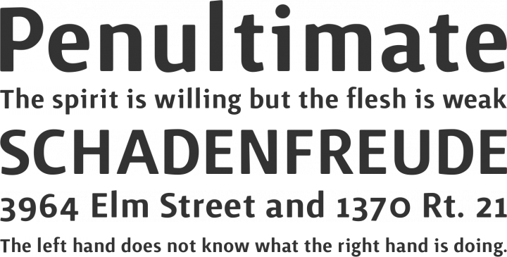 Surface Font Phrases
