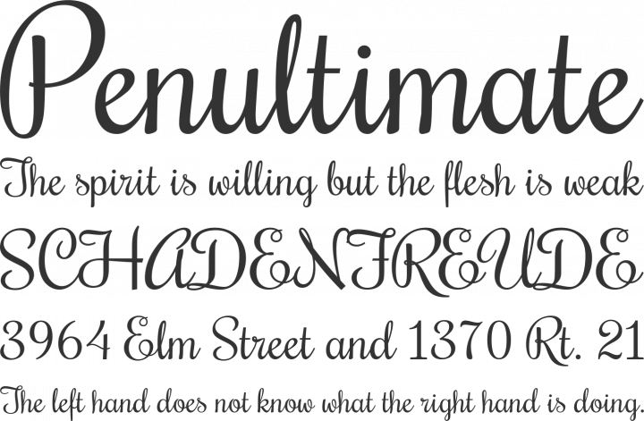 Rochester Font Phrases