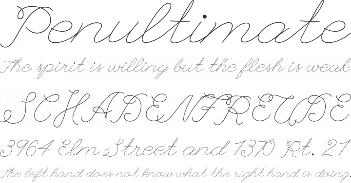 League Script Font Phrases