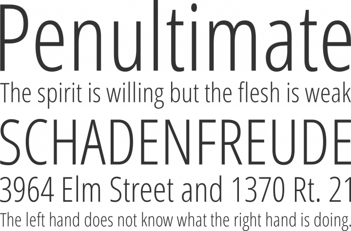 Open Sans Condensed Font Phrases