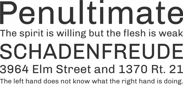 Chivo Font Phrases