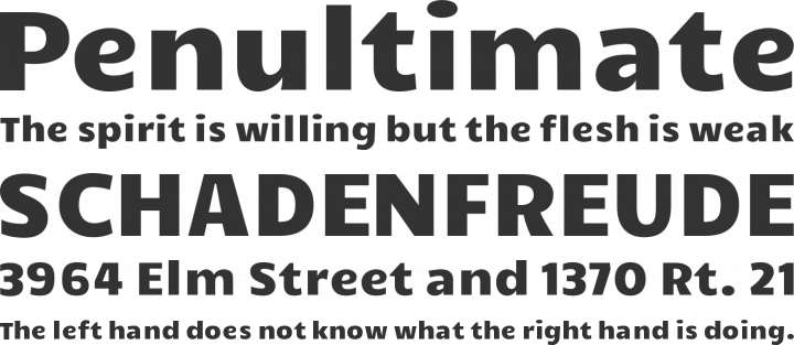 Candal Font Phrases
