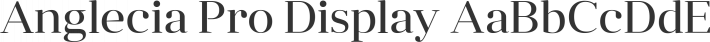 Anglecia Pro Display font family by Mint Type