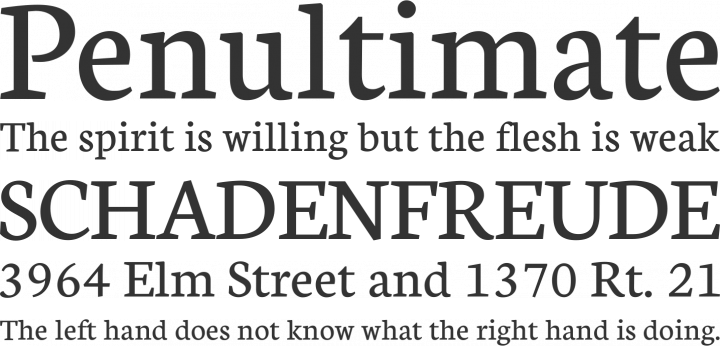 Neuton Font Phrases