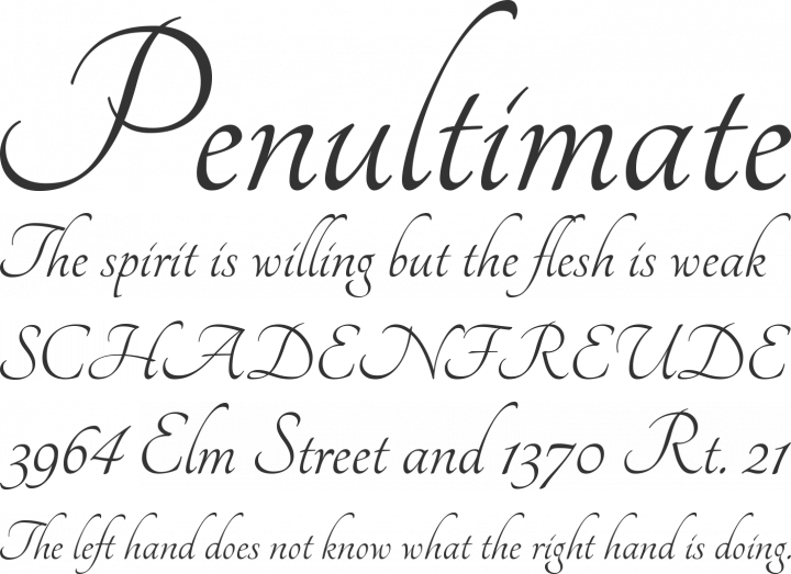 Tangerine Font Phrases