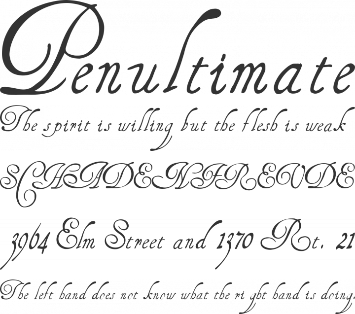 HenryMorganHand Font Phrases