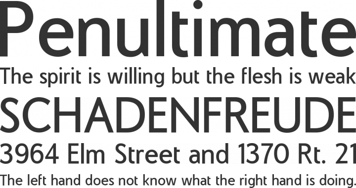 COM4t Sans Medium Font Phrases
