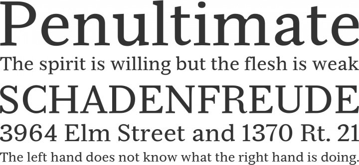 Serif Beta Font Phrases