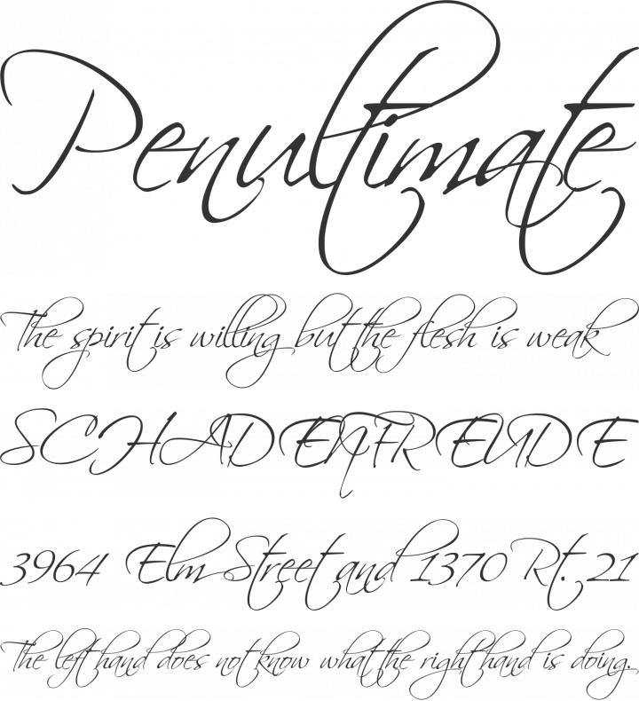 Scriptina Pro Font Phrases