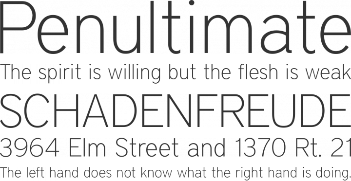 District Thin Font Phrases