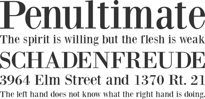 BodoniXT Font Phrases