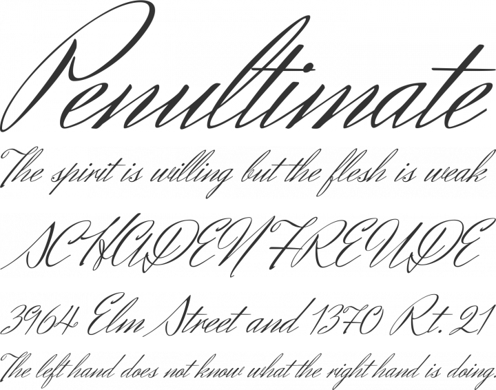 Herr Von Muellerhoff Font Phrases
