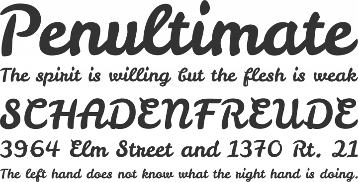 Leckerli One Font Phrases
