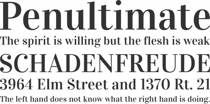 Vidaloka Font Phrases